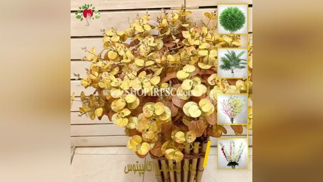 لیست بوته گل مصنوعی اکالیپتوس سبز و طلایی رنگ | فروشگاه ملی