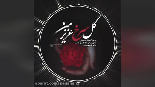 اهنگ گل سرخ عزیز من | کلیپ کوتاه  | موزیک ویدیو | علی زند وکیلی