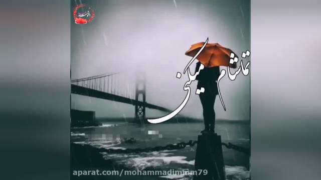 آهنگ پویا بیاتی تنهایی نرو | کلیپ عاشقانه