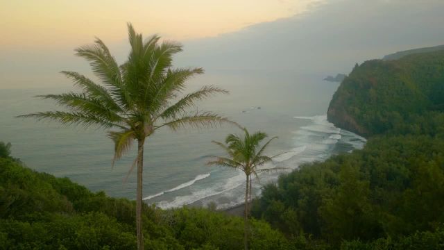 صداهای آرام‌ کننده امواج اقیانوس و آهنگ‌ آرام پرندگان | محیط آرام و دلپذیر هاوایی