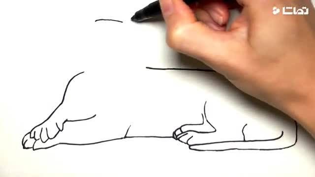 آموزش نقاشی حیوانات |  ببر و لاک پشت