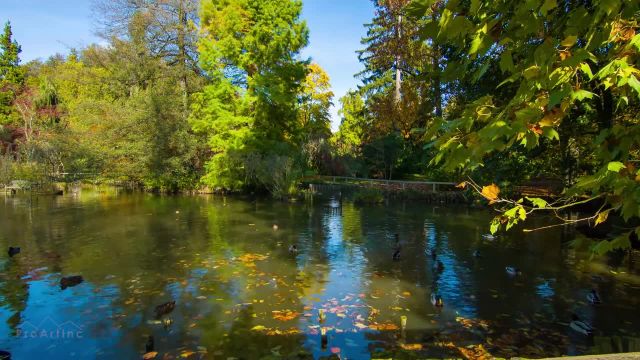پارک گیاه شناسی | ویدیوی آرامش بخش با موسیقی | طبیعت زیبای اسلوونی