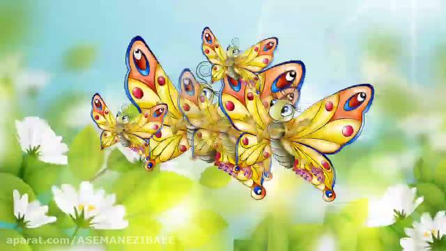 هارمونی پروانه ها، طرح سبزه وگل-برای ورزش مدارس