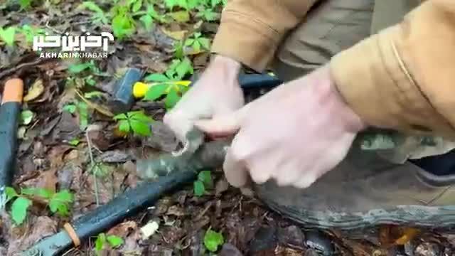 این کشاورز آمریکایی با ساخت تله یک گراز را به دام انداخت