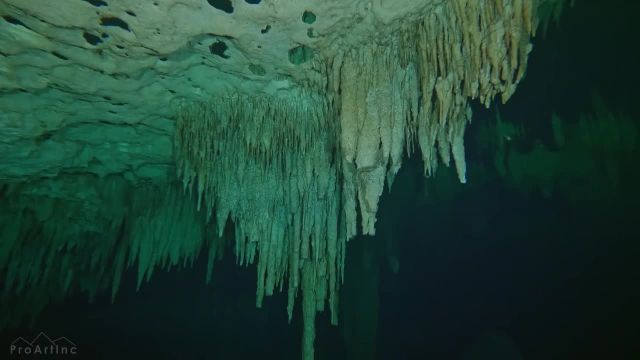 ویدیوی آرامش بخش غواصی | غارهای زیر آب مکزیک و دنیای زیر آب باورنکردنی