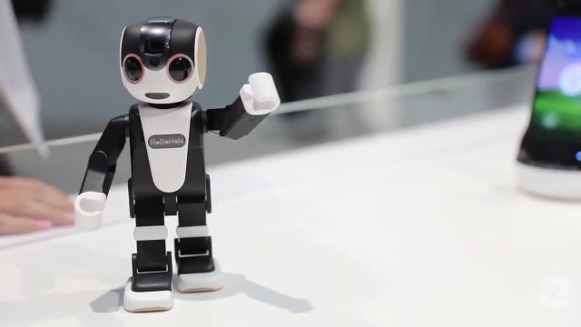 نگاه نزدیک به ربات روبوهن Robo Hon