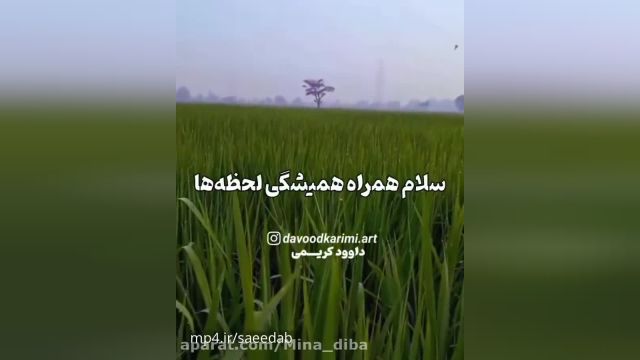 کلیپ در مورد سیزده بدر || کلیپ سیزده بدر 1401