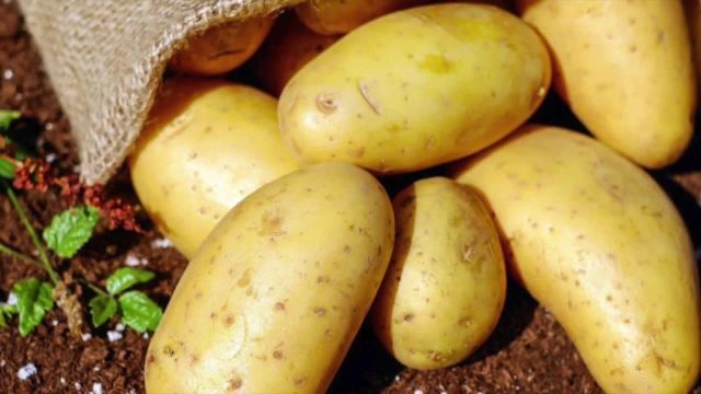 خواص سیب‌زمینی برای از بین بردن پف زیر چشم | ویدیو