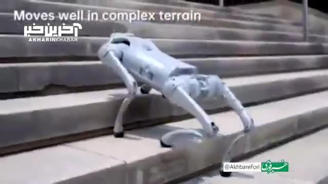 تکنولوژی ترسناک | حرف زدن سگ رباتیک با پشتیبانی از هوش مصنوعی!
