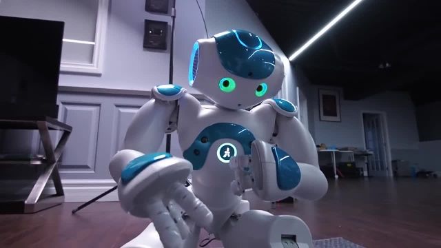 آنباکس و بررسی $8000 Robot!