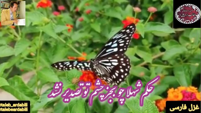 دکلمه غزل فارسی شماره 24998 طالب با صدای حورا سادات علویان