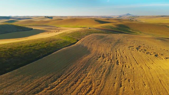 نمای پهپادی از مزارع پالوس در تابستان | فیلم پهپاد محیطی + موسیقی آرامش بخش