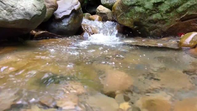 ویدیو طبیعت با صدای طبیعت برای استوری اینستاگرام 30 ثانیه | فیلم پس زمینه طبیعت