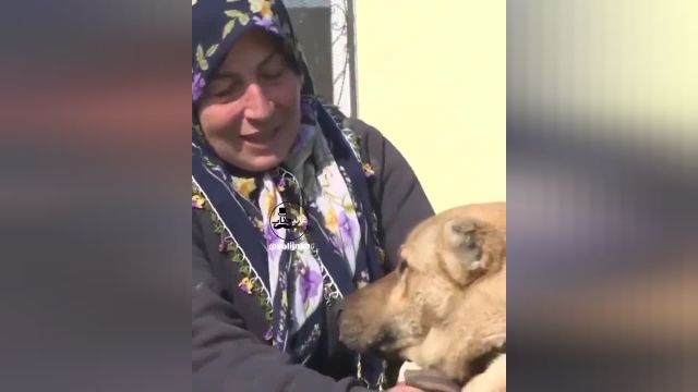 سگ شجاع یک خانواده را از زیر آوار نجات داد | ویدیو