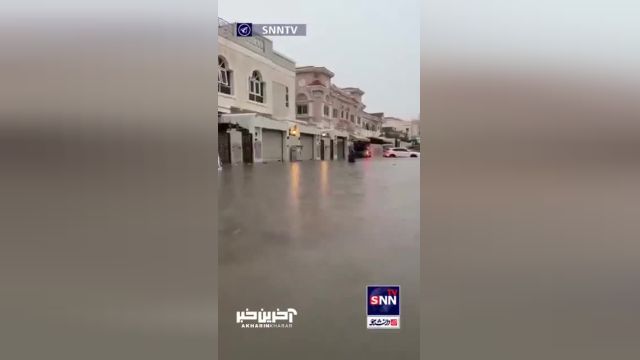 دوبی در آب غرق شد