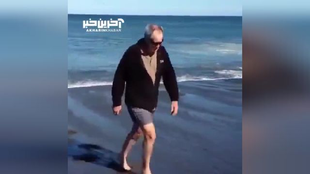 داستان شجاعانه نجات یک کوسه از ساحل