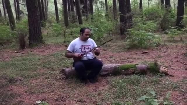تجربه سه تار نوازی در جنگل گیسوم