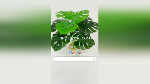 لیست بوته تزیینی برگ انجیری مدل سبز لمسی ارتفاع 40 سانتیمتر 12 برگ