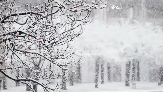 ویدیو وضعیت واتساپ طبیعت زمستانی 30 ثانیه ای