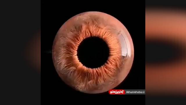 تصاویر میکروسکوپی از چشم انسان | ویدیو
