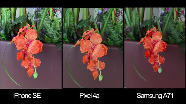 تست مقایسه دوربین Google Pixel 4a در مقابل iPhone SE و Samsung Galaxy A71