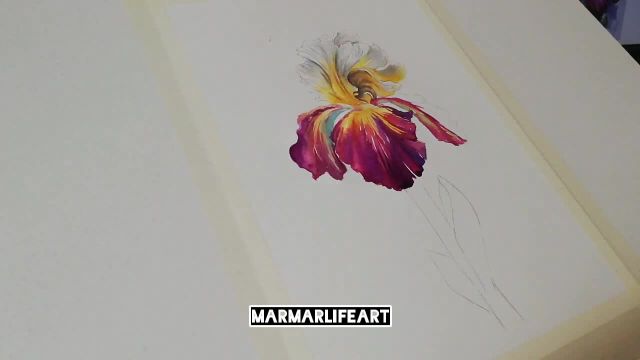 آموزش نقاشی گل زنبق با آبرنگ