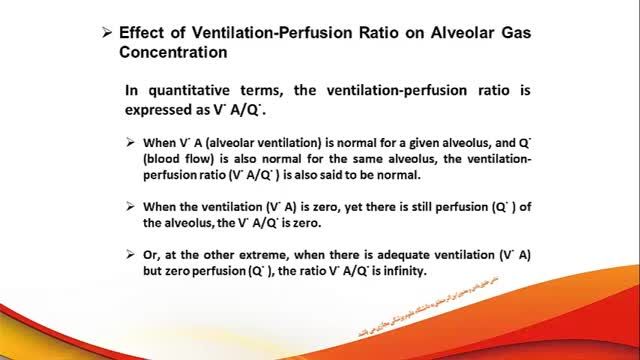 رابطه نسبت Ventilation به Perfusion | فیزیولوژی دستگاه تنفس | جلسه هفتم