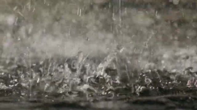 ویدیو وضعیت واتس اپ طبیعت با صدای باران کوتاه 30 ثانیه ای