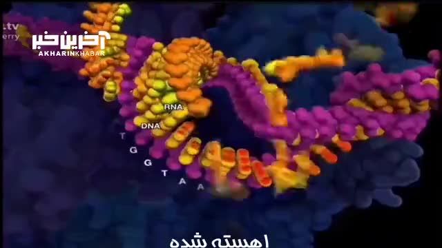 کلیپی از فرآیند تولید پروتئین در DNA