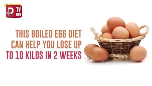 رژیم غذایی تخم مرغ چیست؟ | 10 کیلوگرم کاهش وزن تنها در دو هفته!