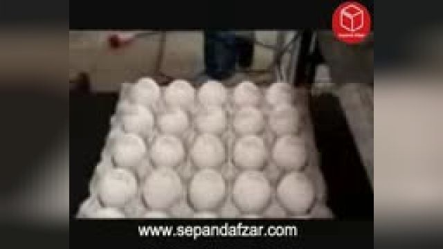 جت پرینترتخم مرغی  محصول شرکت سپندافزار