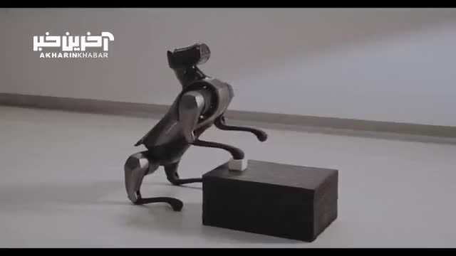 شیائومی از نسل دوم سگ رباتیک خود با نام CyberDog 2 پرده برداشت