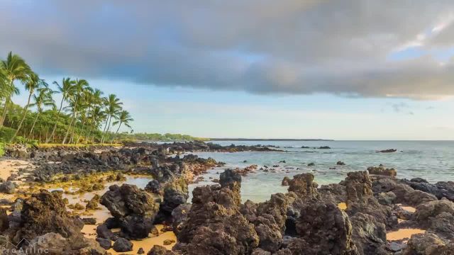 صدای اقیانوس برای خواب عمیق | درختان نخل گرمسیری در ساحل اقیانوس، جزیره مائویی | قسمت 1