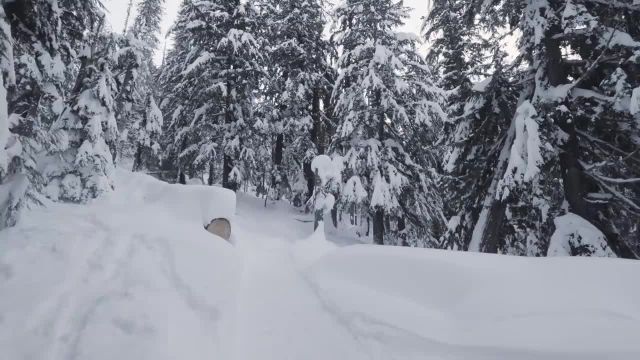 ویدیویی از طبیعت خوش منظره کانادا در زمستان | قسمت 2