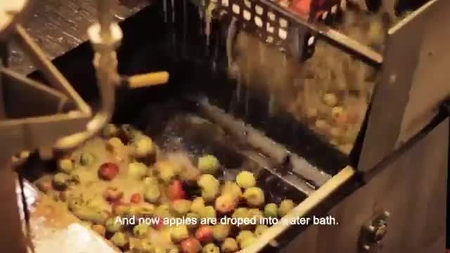 فرآیند تهیه سرکه سیب در کارخانه  - فرآوری برداشت سیب