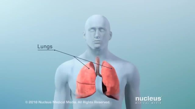 مدیریت سرطان ریه با چند راه حل ساده | ویدیو
