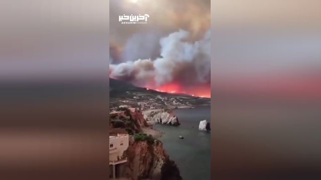 آتش سوزی در الجزایر | حریق جنگلی در الجزایر 34 قربانی گرفت