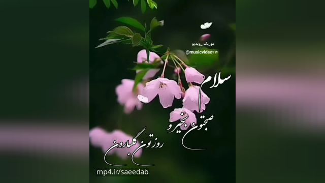 صبح بخیر همراه دعا/کلیپ صبح بخیر برای وضعیت