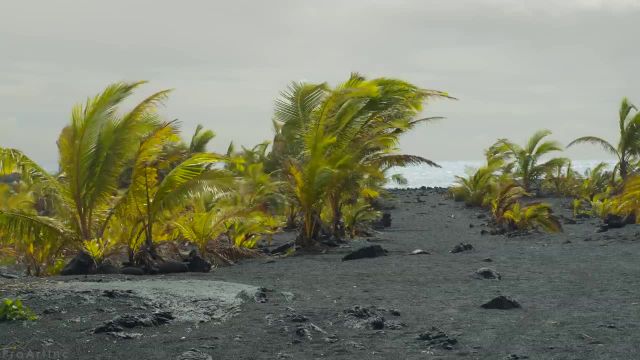 ویدیوی آرامش بخش تنوع باورنکردنی از جزیره بزرگ، هاوایی + صداهای طبیعت | قسمت 1