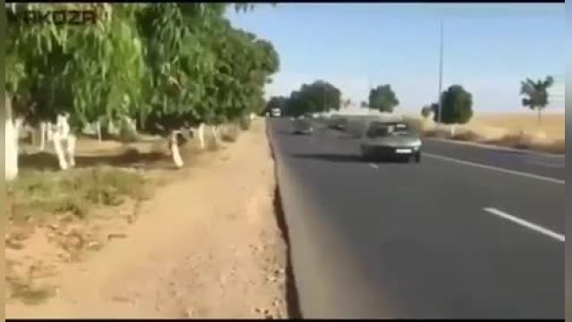 حرکات نمایشی با موتور  در ایران حادثه آفرید | ویدیو