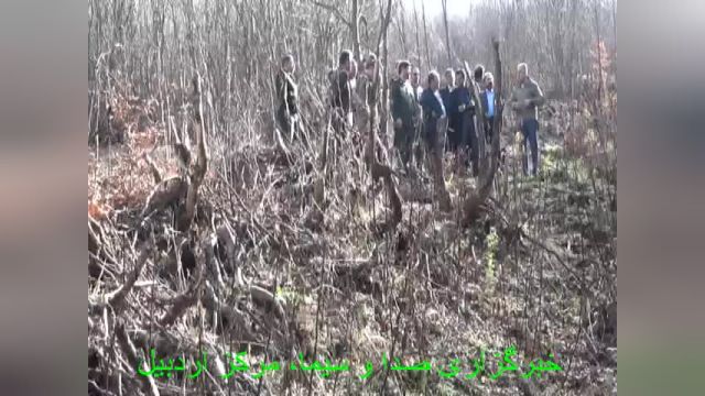 برخورد جدی با تخریب‌ کنندگان جنگل فندقلو در استان اردبیل