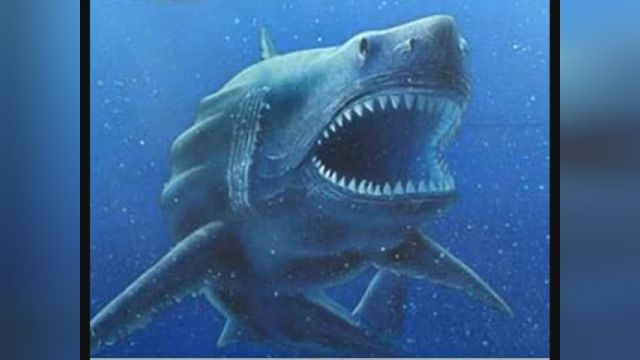 Megalodon attacks biggest shark eva must watch
