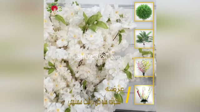 لیست شکوفه هلو گل درشت مصنوعی سفید رنگ | فروشگاه ملی