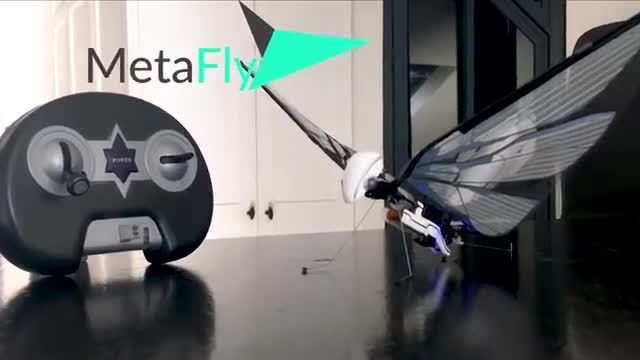 تحقق یک رویای مخوف؛ متافلای، رباتی که می تواند مانند حشرات پرواز کند