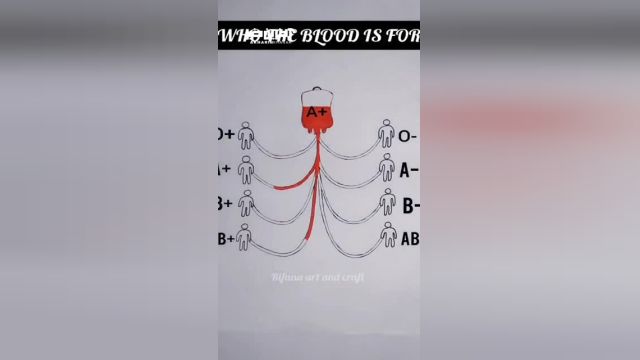 کدام گروه خونی به کدام گروه خونی میتواند خون بدهد؟