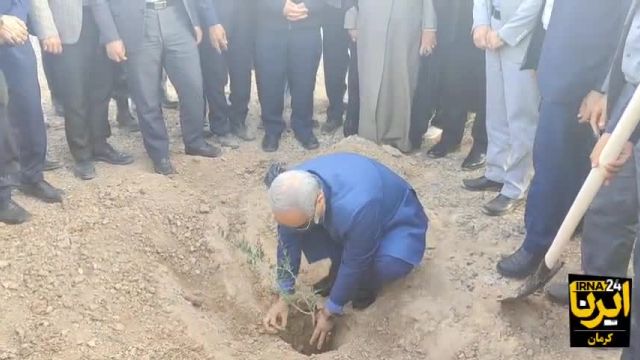 کاشت 540 هزار درخت به یاد شهدای غزه در کرمان