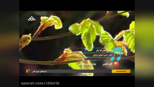 اهنگ شاد علیرضا افتخاری | موزیک ویدیو شاد | گل اطلسی