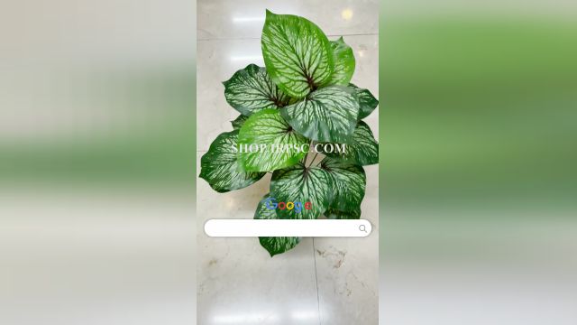 لیست بوته مصنوعی 18 برگ الوکازیاا |فروشگاه ملی