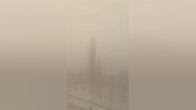آسمان شمال تهران در مه غلیظ فرو رفت | ویدیو