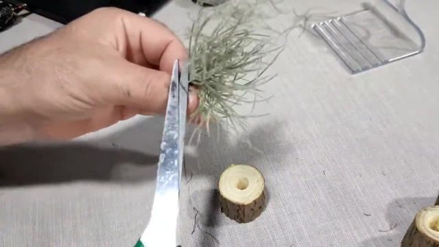 آموزش درست کردن یک گیاه رومیزی زیبا